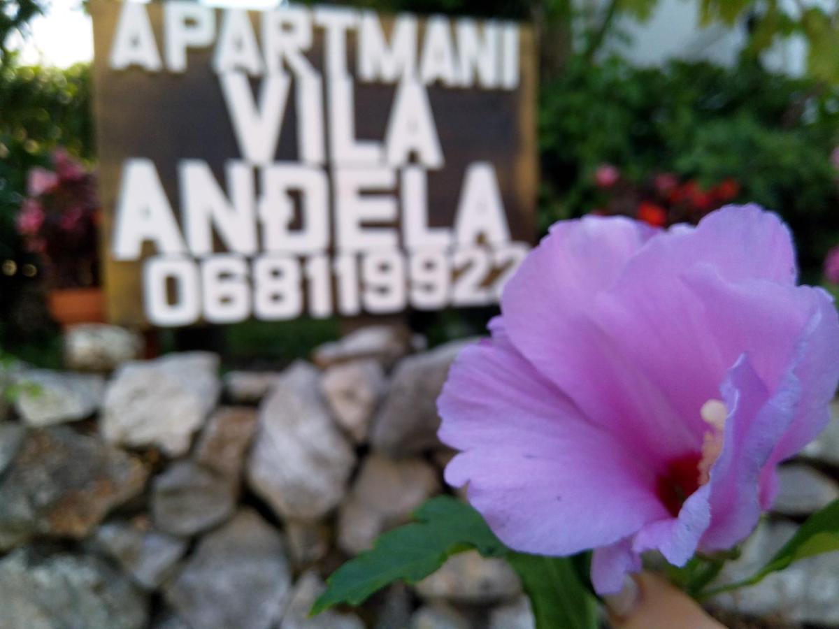 Apartments Villa Andjela Budva Zewnętrze zdjęcie