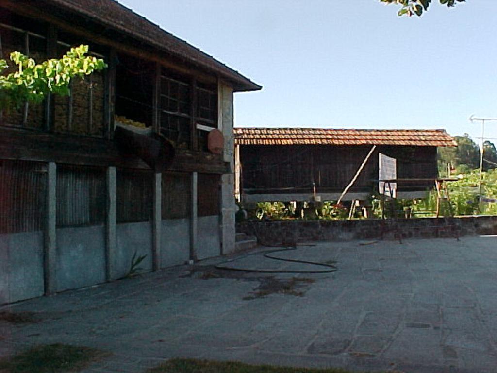 Stone Farm Hostel Felgueiras Zewnętrze zdjęcie