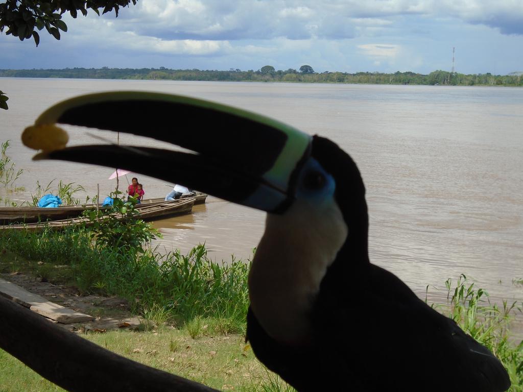 Reserva Natural Heliconia Amazonas Willa Leticia Zewnętrze zdjęcie