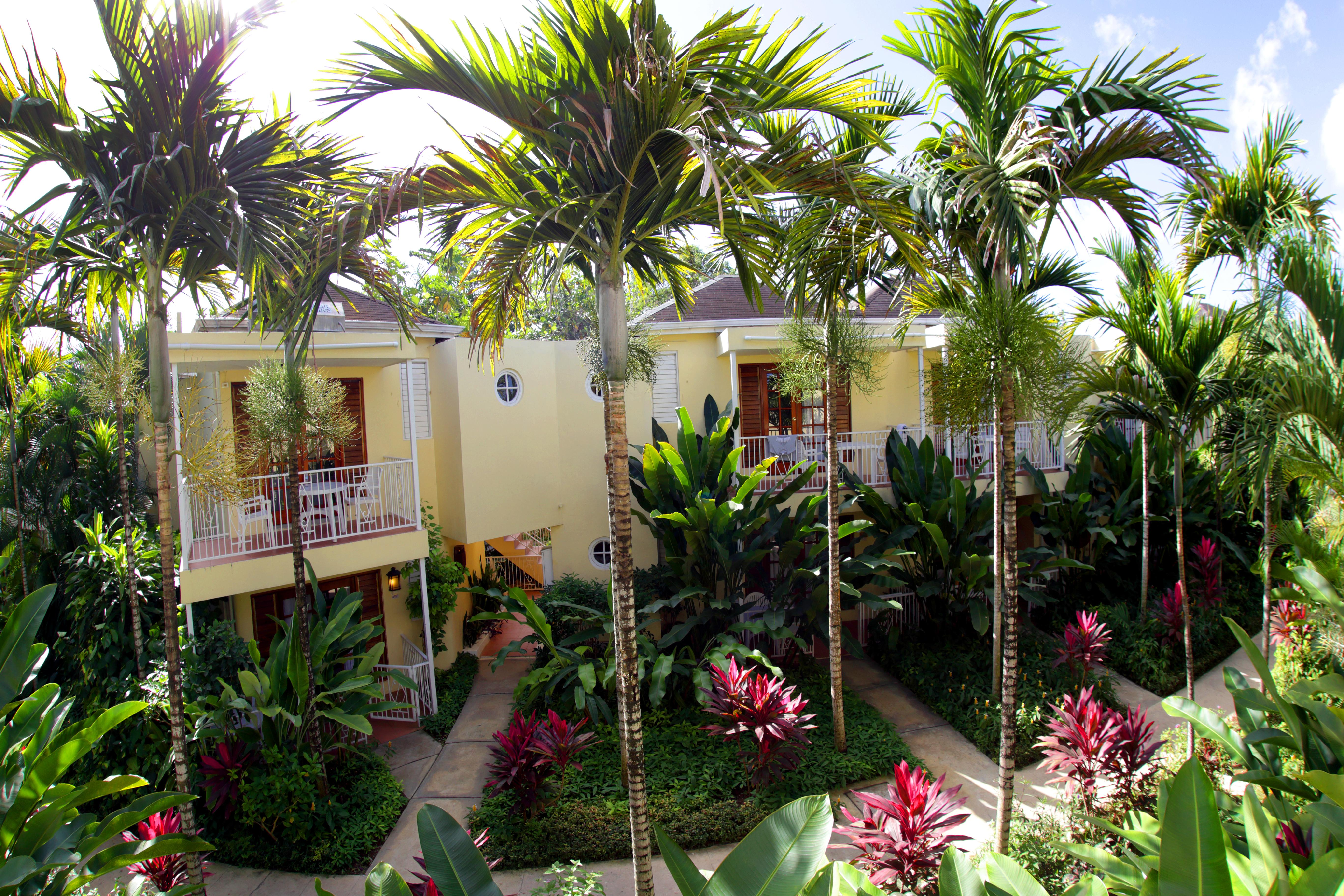 Hotel Negril Palms Zewnętrze zdjęcie