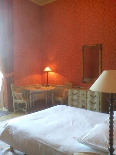 Chateau Du Marechal De Saxe Hotel Yerres Pokój zdjęcie