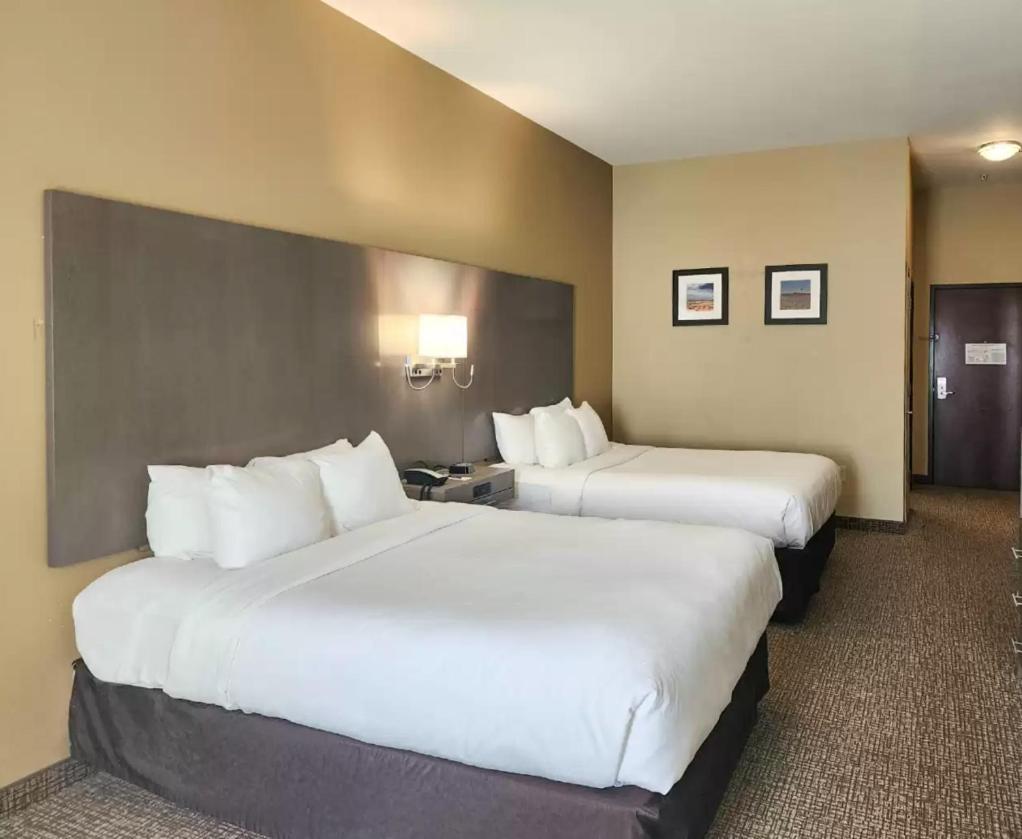 Comfort Inn & Suites Monahans I-20 Zewnętrze zdjęcie