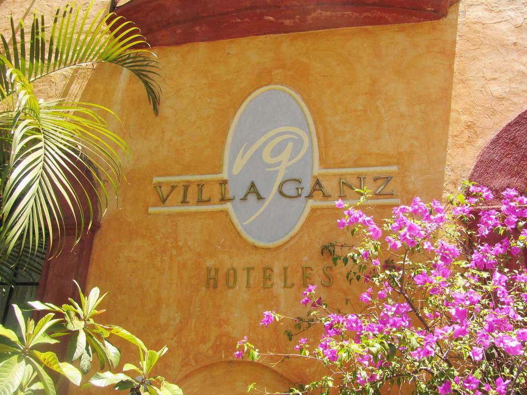 Villa Ganz Boutique Hotel Guadalajara Zewnętrze zdjęcie