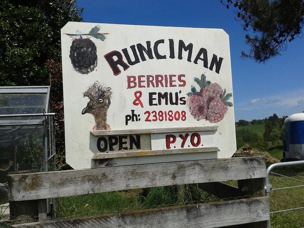 Runciman Berries And Emus B&B Ramarama Zewnętrze zdjęcie