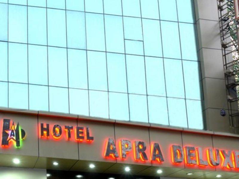 Hotel Apra Deluxe Nowe Delhi Zewnętrze zdjęcie