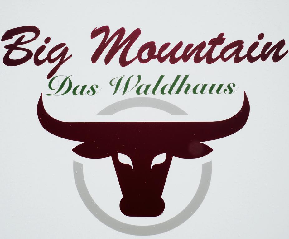 Big Mountain Das Waldhaus Hotel Winterberg Zewnętrze zdjęcie
