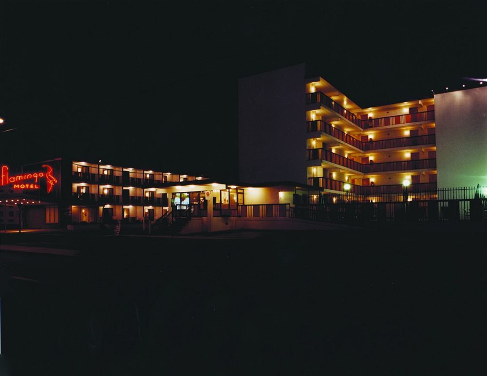 Flamingo Motel Ocean City Zewnętrze zdjęcie