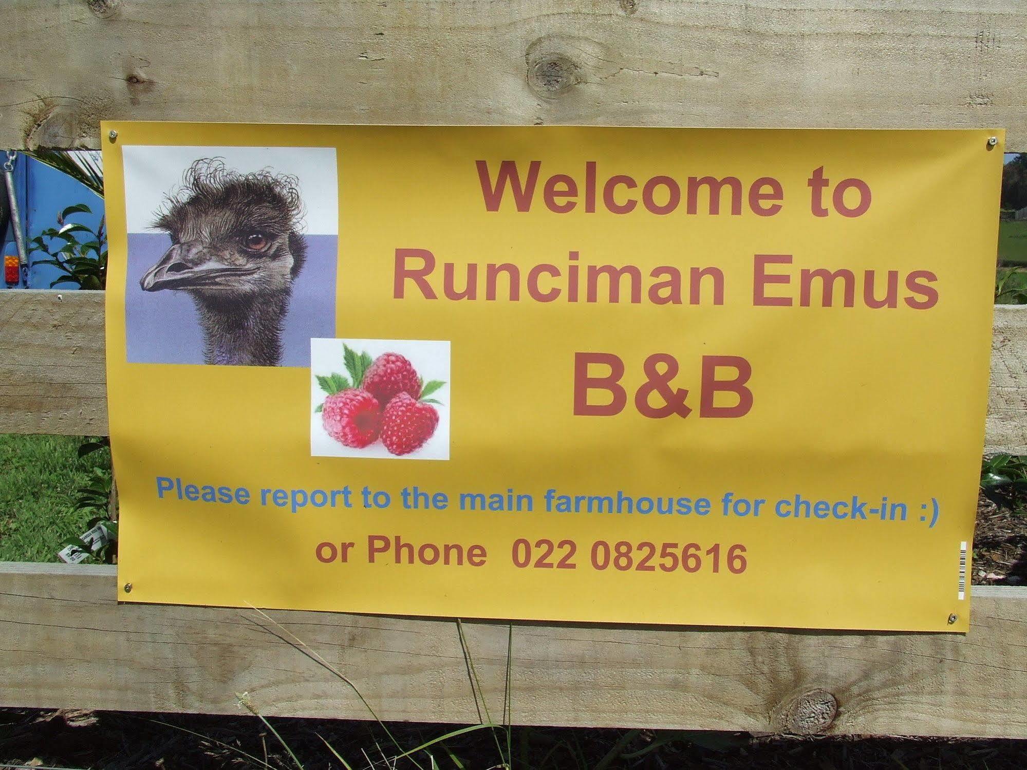 Runciman Berries And Emus B&B Ramarama Zewnętrze zdjęcie