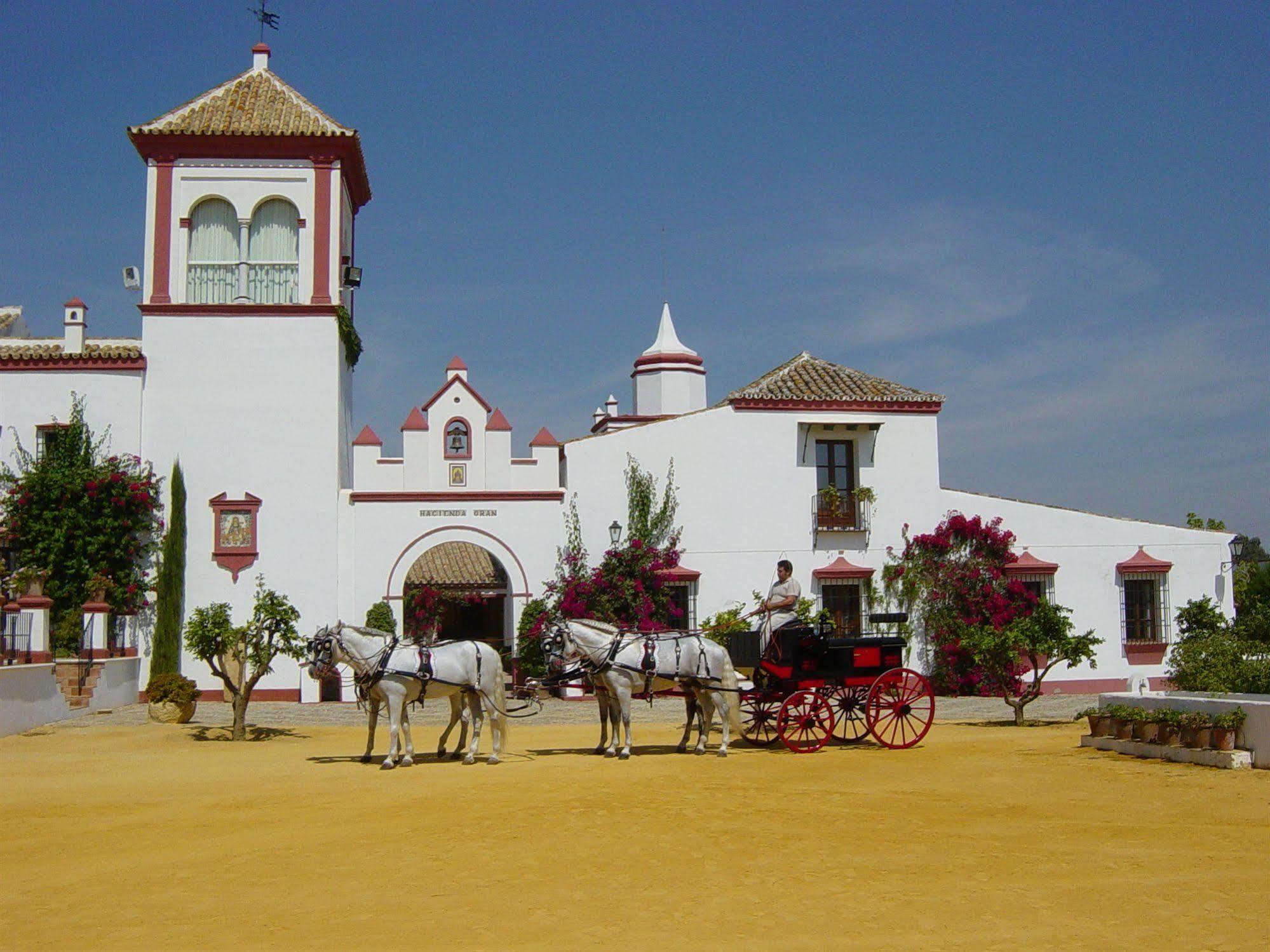 Pensjonat Hacienda De Oran Utrera Zewnętrze zdjęcie