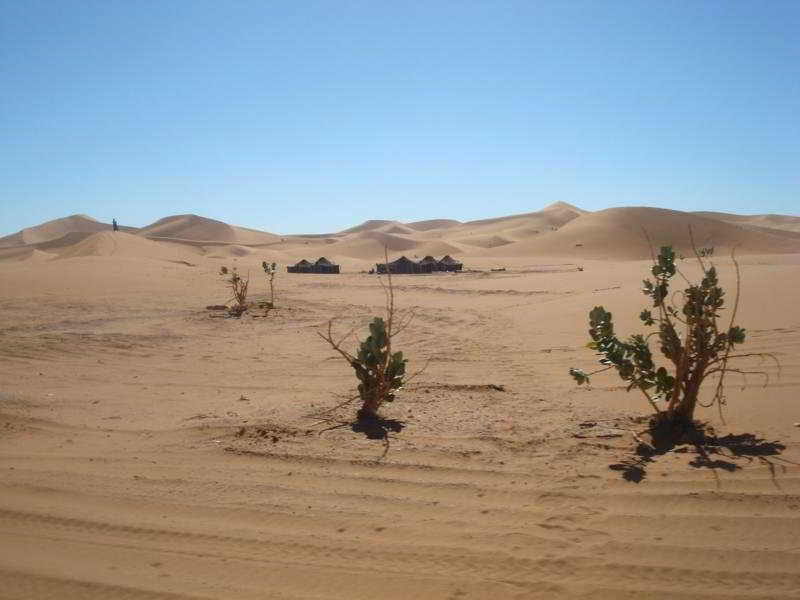 Bivouac Dunes De Chegaga Zakura Zewnętrze zdjęcie