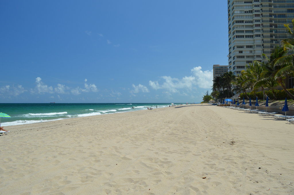 Ft. Lauderdale Beach Resort Hotel Fort Lauderdale Zewnętrze zdjęcie