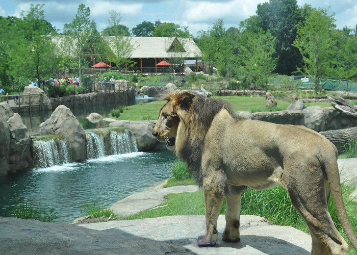 Cincinnati Zoo and Botanical Garden photo