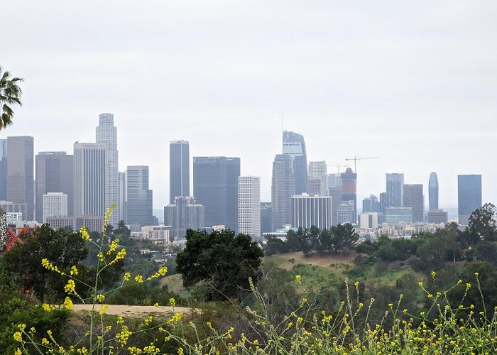 Elysian Park photo