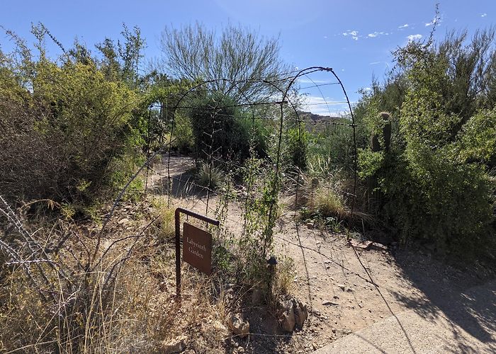 Arizona-Sonora Desert Museum photo