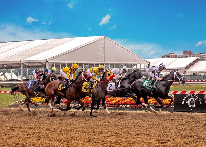 Pimlico Race Course photo