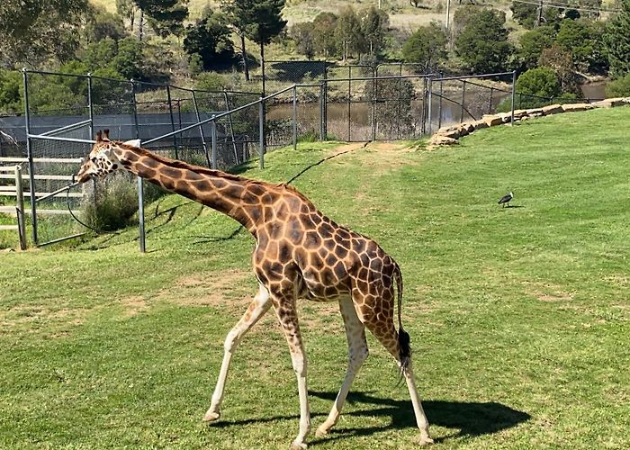 National Zoo and Aquarium photo