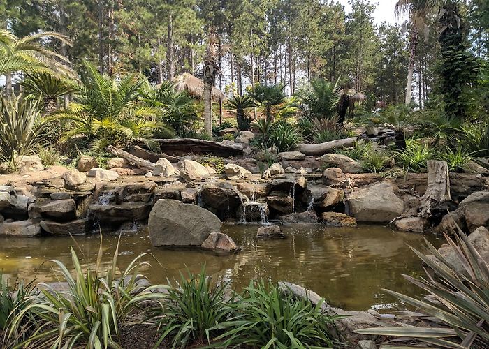 National Zoo and Aquarium photo