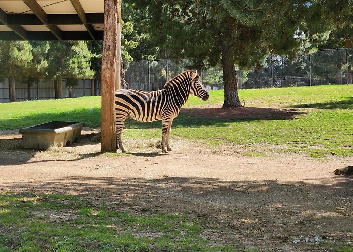 National Zoo and Aquarium photo