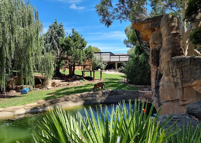 National Zoo and Aquarium photo