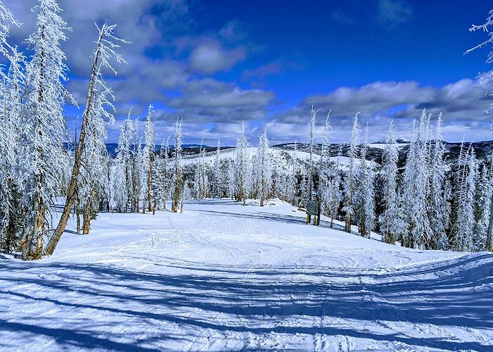 Wolf Creek Ski Area photo