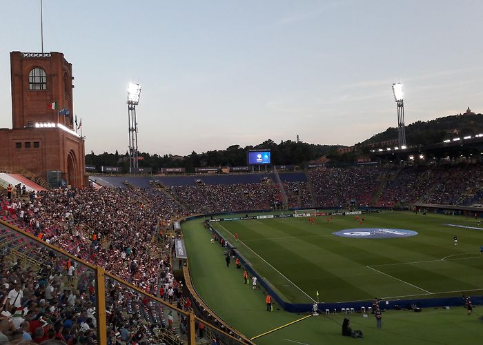 Stadio Renato Dall'Ara photo