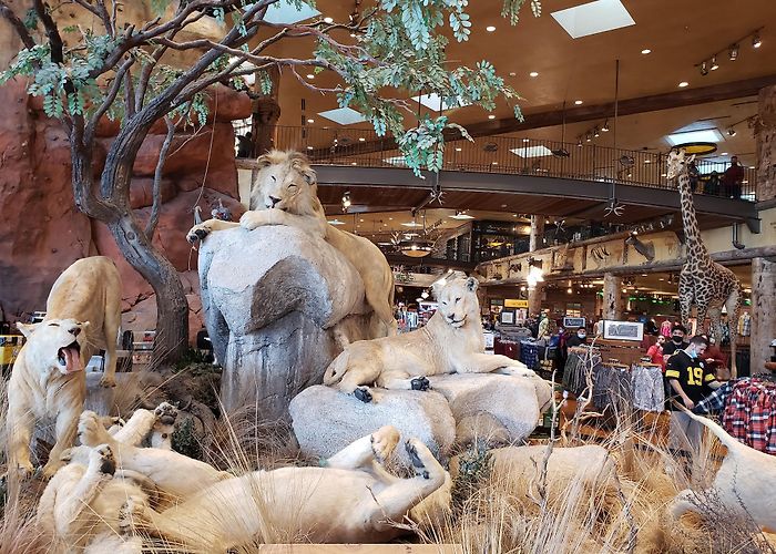 Bass Pro Shops photo