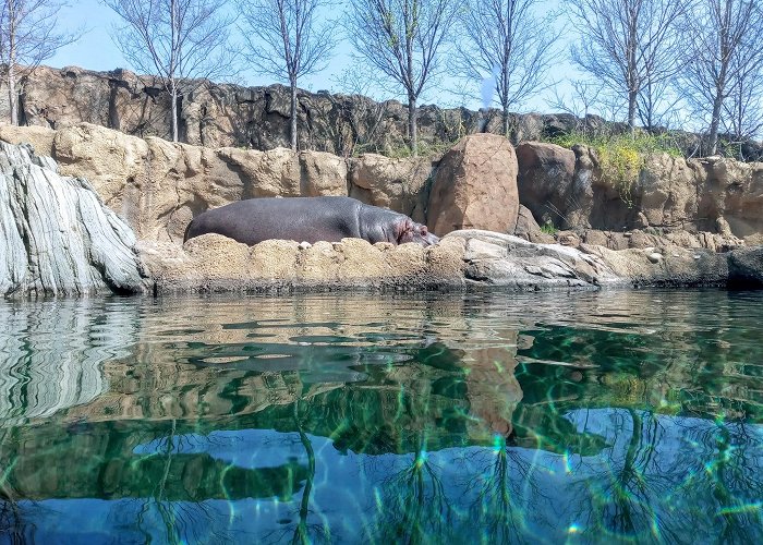 Cincinnati Zoo and Botanical Garden photo