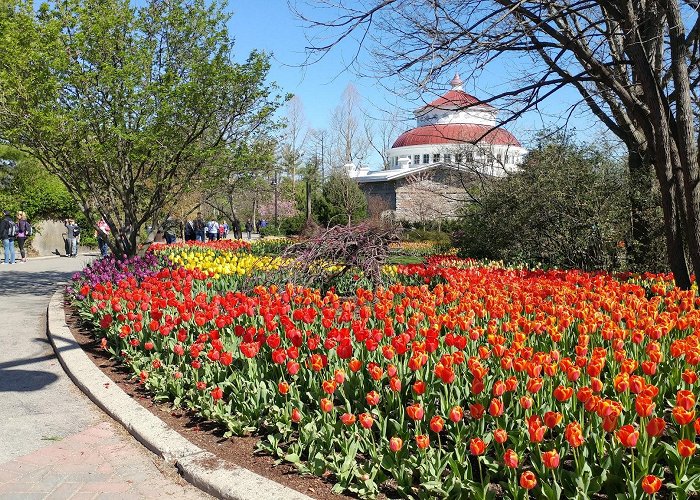 Cincinnati Zoo and Botanical Garden photo