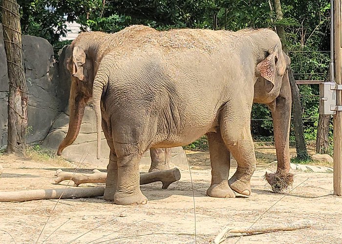 Cincinnati Zoo and Botanical Garden photo