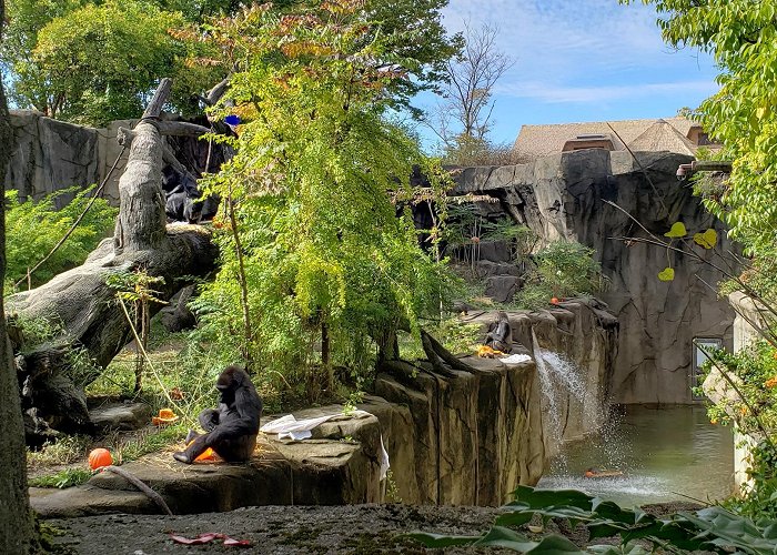 Cincinnati Zoo and Botanical Garden photo