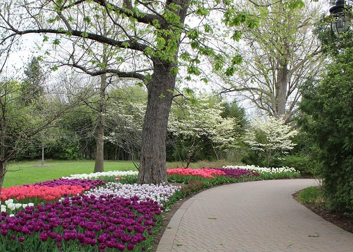 Cincinnati Zoo and Botanical Garden photo