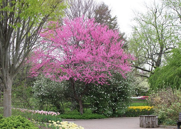 Cincinnati Zoo and Botanical Garden photo