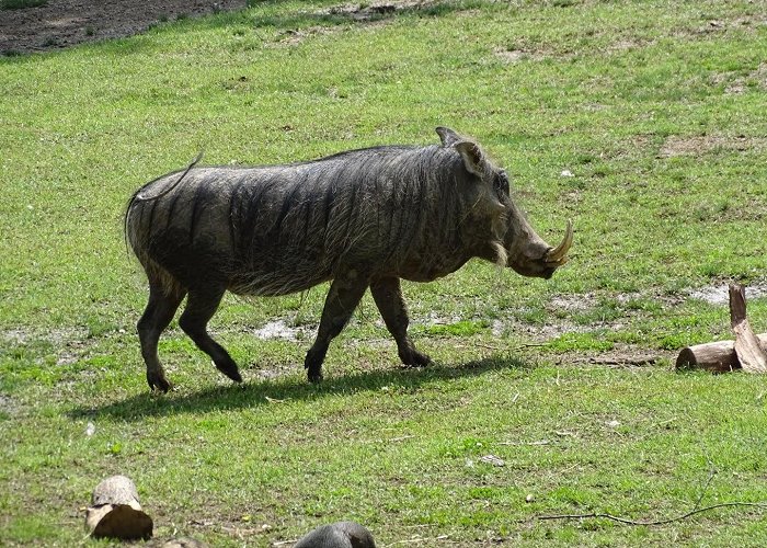 Cincinnati Zoo and Botanical Garden photo