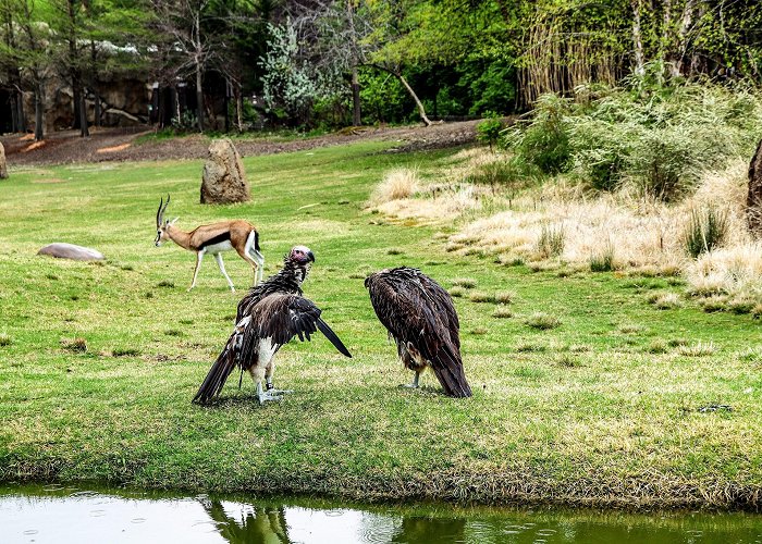 Cincinnati Zoo and Botanical Garden photo