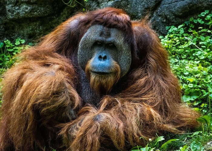 Cincinnati Zoo and Botanical Garden photo