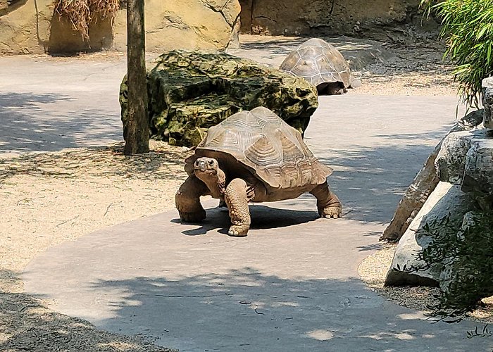 Cincinnati Zoo and Botanical Garden photo