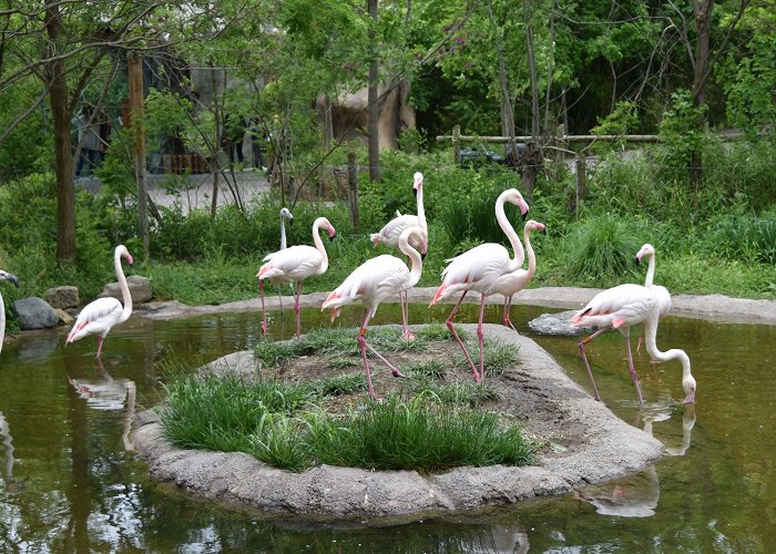 Cincinnati Zoo and Botanical Garden photo