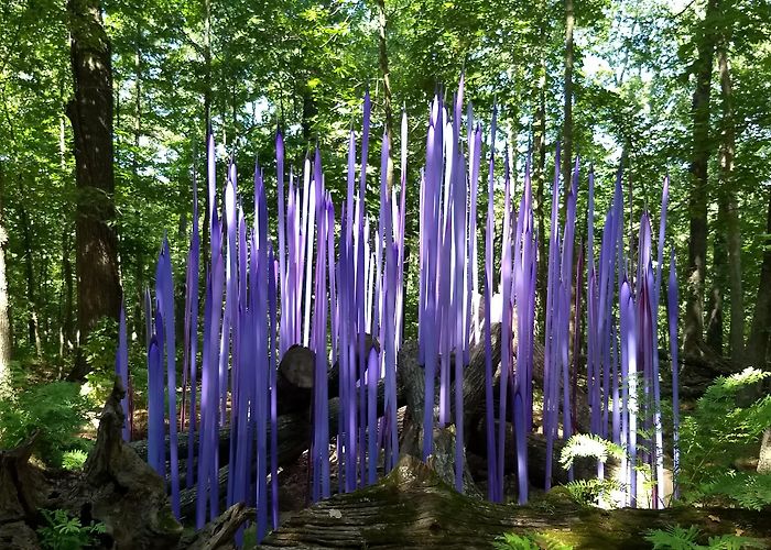 Crystal Bridges Museum of American Art photo