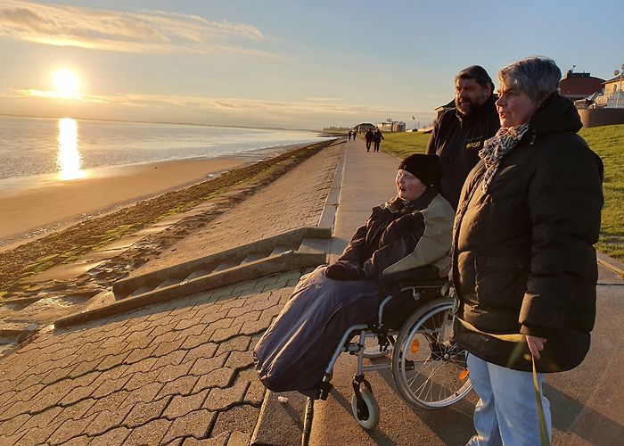 Insektenmuseum und Schmetterlingsfarm Unterwegs: Das Wünschewagen-Logbuch photo