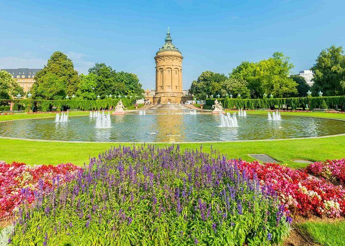 Botanical Garden Munich to Mannheim by Train from $22.71 | High-Speed Times ... photo