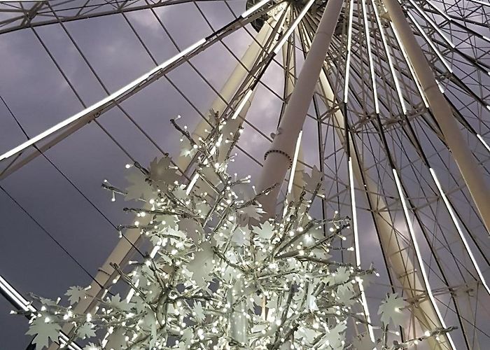 Estrella de Puebla Estrella de Puebla Observation Wheel Tours - Book Now | Expedia photo