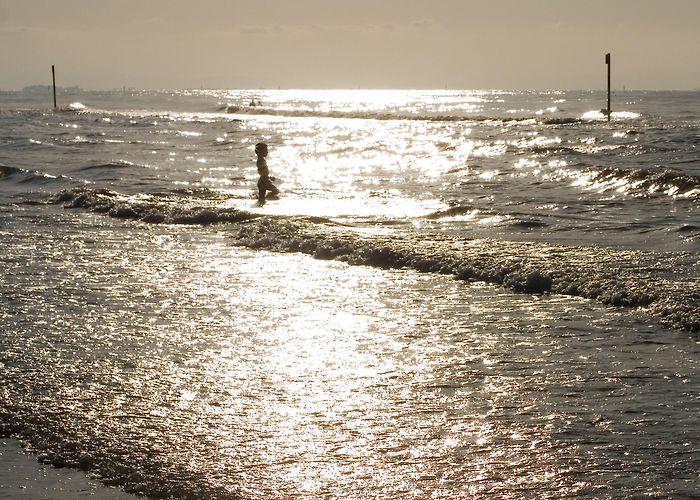 Parco Zoo Punta Verde Visit Lignano Sabbiadoro: 2024 Travel Guide for Lignano Sabbiadoro ... photo