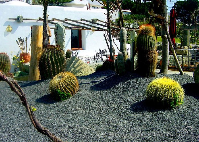 Giardini Ravino Ischia.it english - Giardini Ravino Opening photo