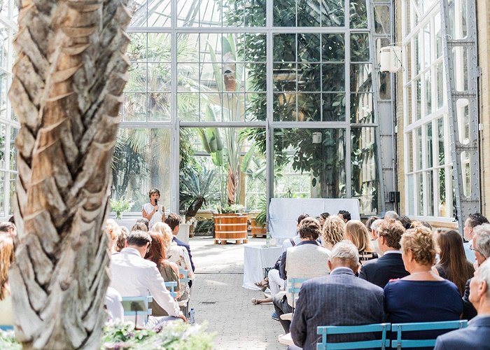 de hortus Laura & Pieter | Wedding at the Botanical garden of Amsterdam ... photo