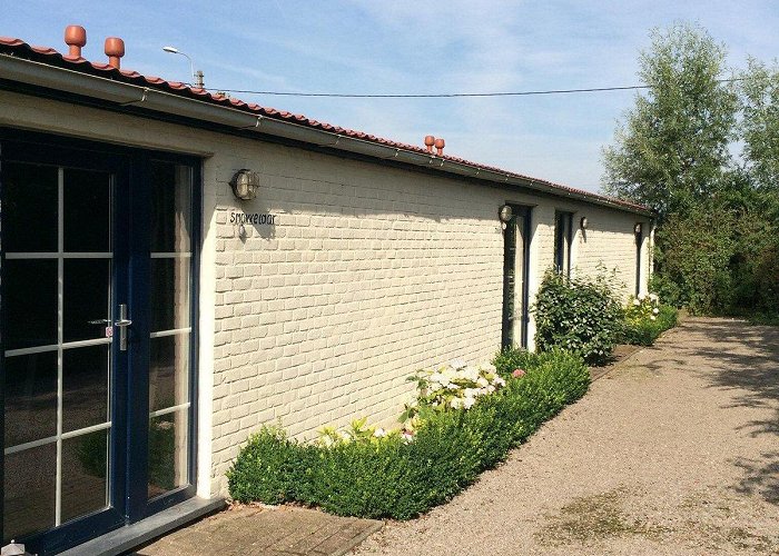 Struisvogelboerderij Monnikenwerve B&B LANDSEINDE - Reviews (Sint-Margriete, Belgium) photo