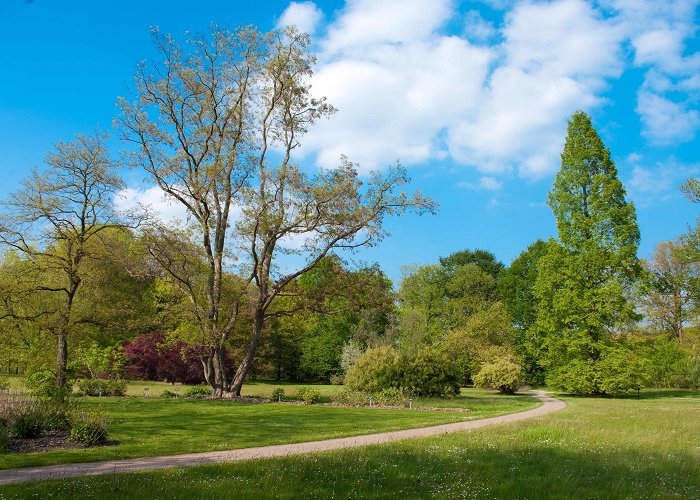 Arboretum Poort-Bulten Arboretum Poort Bulten - Natuurgebied | Natuurmonumenten photo