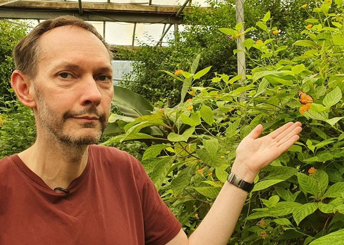 Vlinderparadijs Papiliorama Exotische vlinder booming business in Nederland: 'Speciaal ... photo