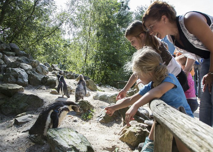 AquaZoo AquaZoo Leeuwarden tickets | Leeuwarden photo