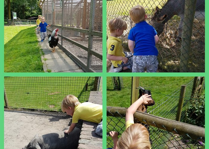 Kinderboerderij Het Weusthag Kinderboerderij 't Weusthag | Gezellig een dagje uit | Batboy photo