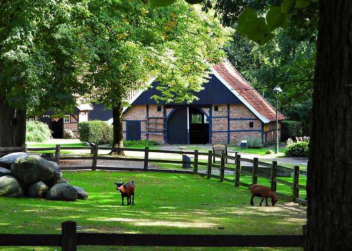 Openluchtmuseum Los Hoes Ootmarsum Location Open Air Museum Ootmarsum - Ootmarsum photo